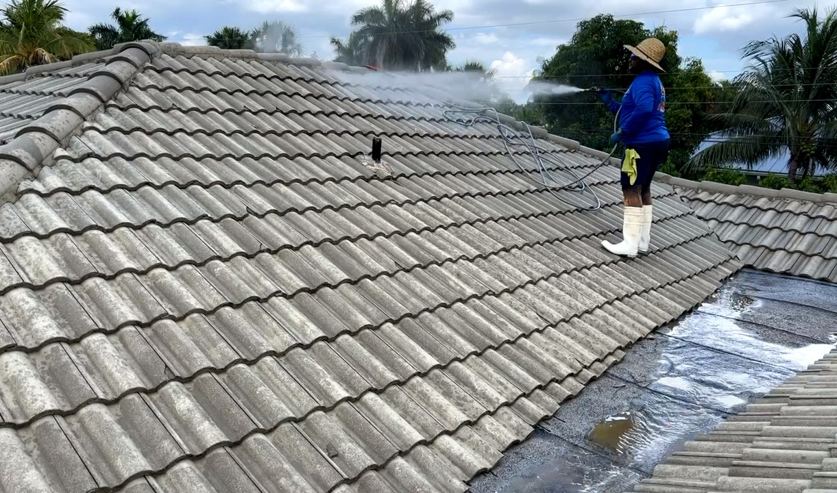 Soft Washing Services